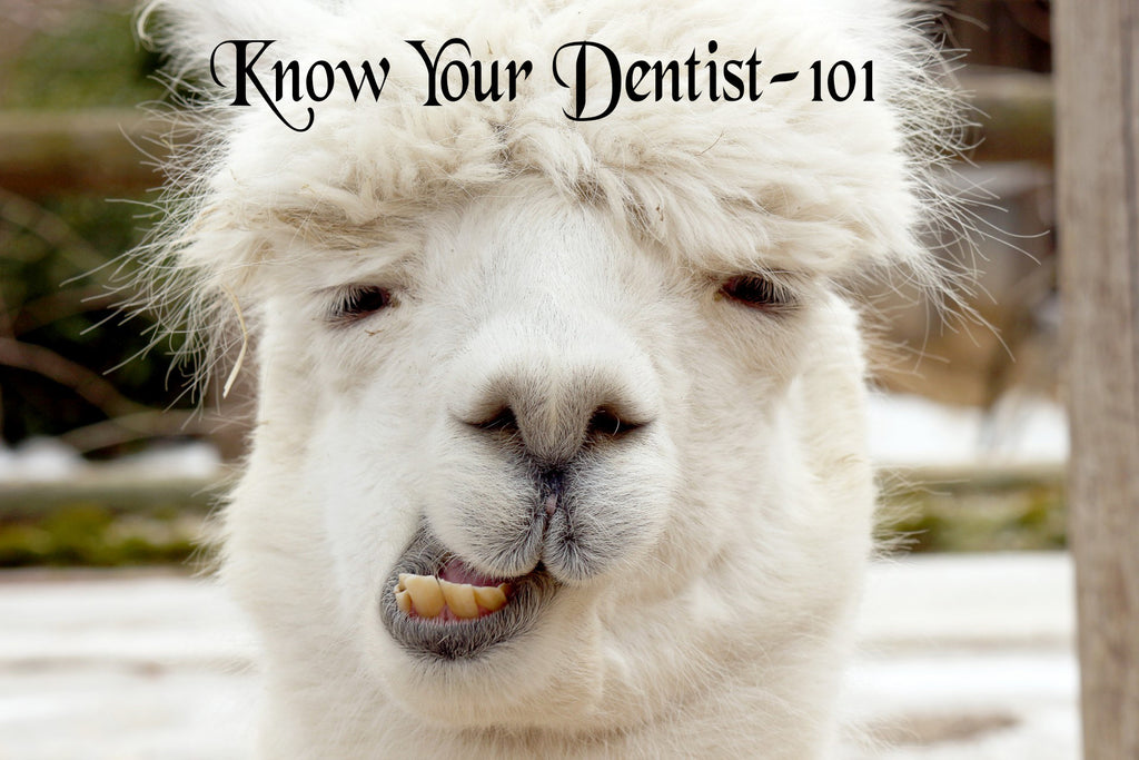 Know Your Dentist-101